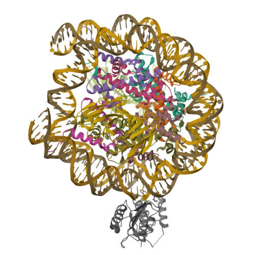 Structure 9ZTA