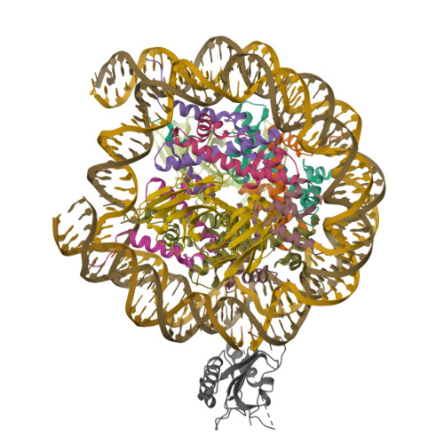 Structure 9ZTF