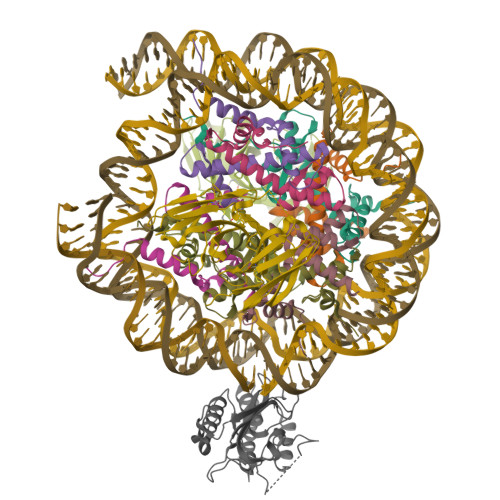 Structure 9ZTG