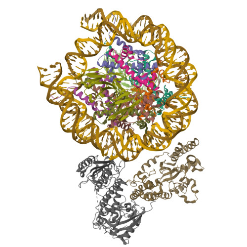 Structure 9ZTN