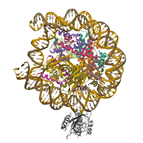 Structure 9ZTO