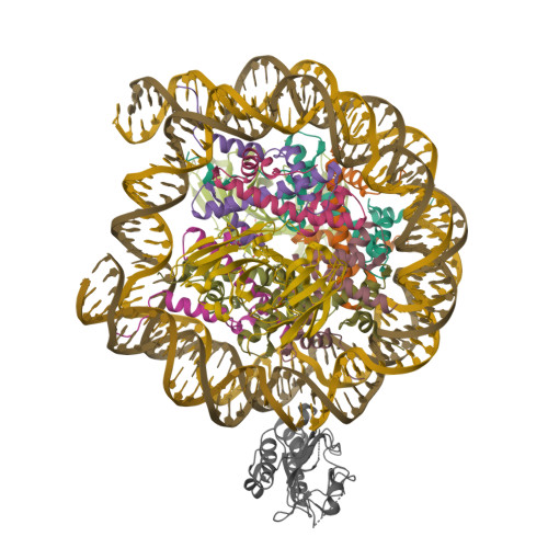 Structure 9ZTQ