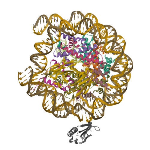 Structure 9ZTS