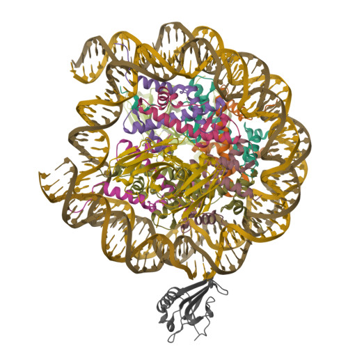 Structure 9ZTU