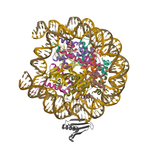 Structure 9ZTX