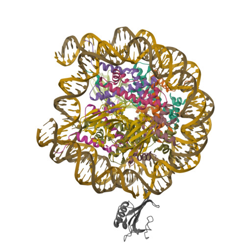 Structure 9ZTY