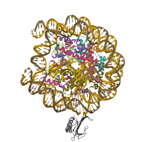 Structure 9ZTZ