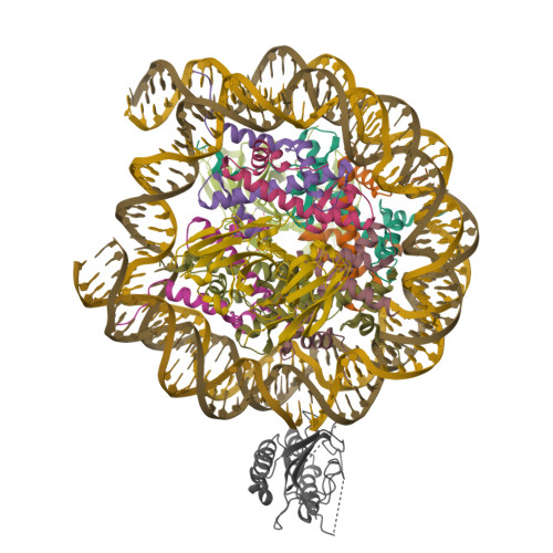 Structure 9ZU8