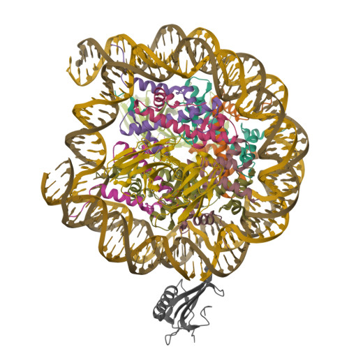 Structure 9ZUA