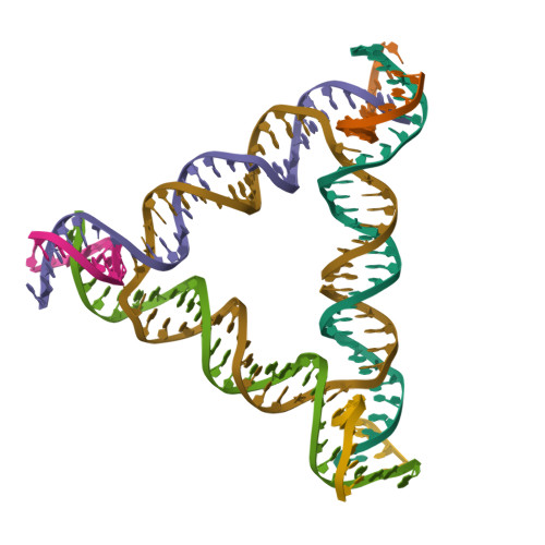 RCSB PDB - 9ZXK: [a3T17] Asymmetric three turn tensegrity triangle with ...