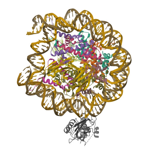 Structure 9ZXL
