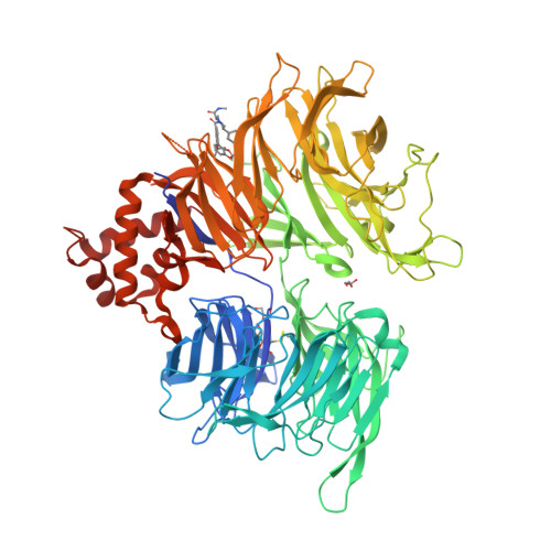 RCSB PDB - 9ZXM: DDB1 delta with compound 6