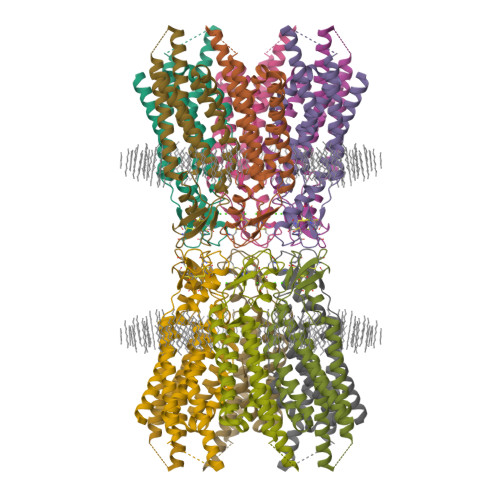 Structure 9ZY3