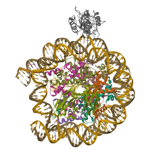 Structure 9ZYC