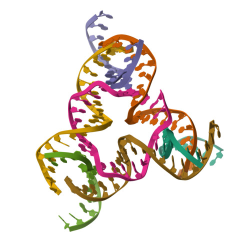 RCSB PDB - 9ZYV: [asym] Two turn tensegrity triangle exhibiting ...