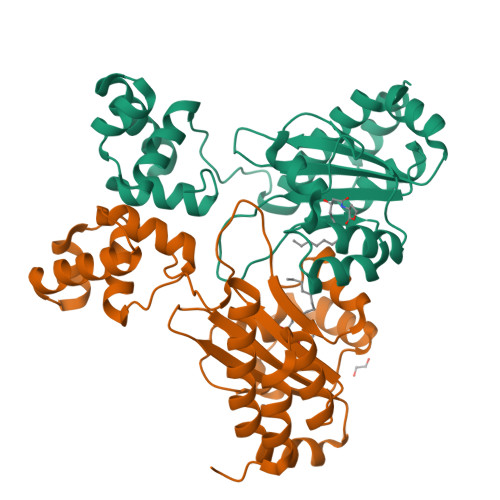 Structure 9ZZ0