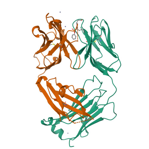 Rcsb Pdb 1a0q 29g11 Complexed With Phenyl 1 1 N Succinylamino Pentyl Phosphonate