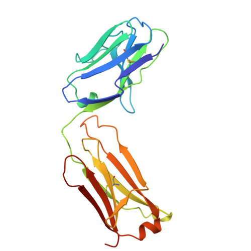 Rcsb Pdb 1a0q 29g11 Complexed With Phenyl 1 1 N Succinylamino Pentyl Phosphonate