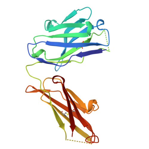 Rcsb Pdb 1a0q 29g11 Complexed With Phenyl 1 1 N Succinylamino Pentyl Phosphonate