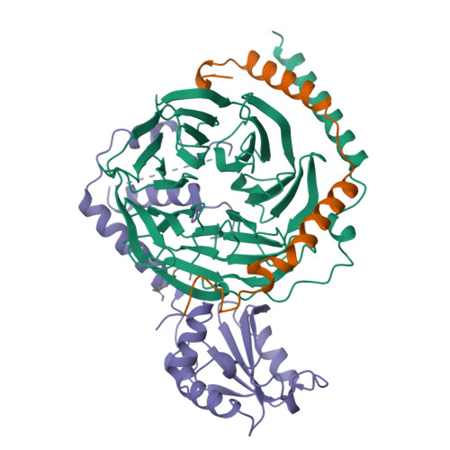 Rcsb Pdb 1a0r Heterotrimeric Complex Of Phosducin Transducin Beta Gamma