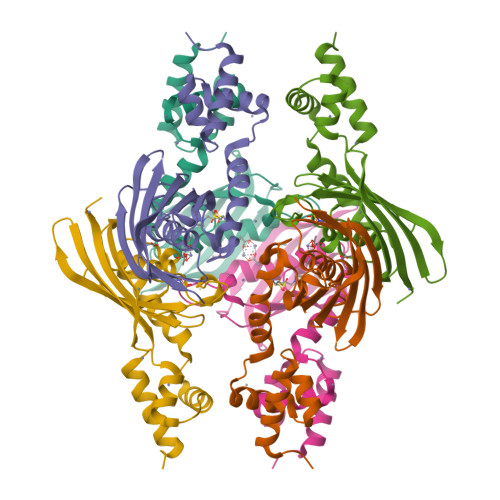 Protein Data Bank: 4A0X
