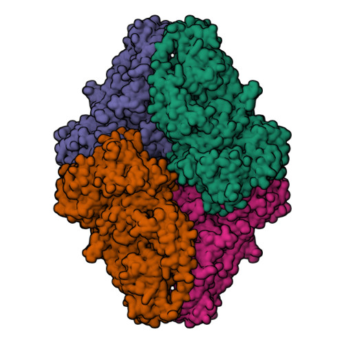 Rcsb Pdb 5a1a 2 2 A Resolution Cryo Em Structure Of Beta Galactosidase In Complex With A Cell Permeant Inhibitor