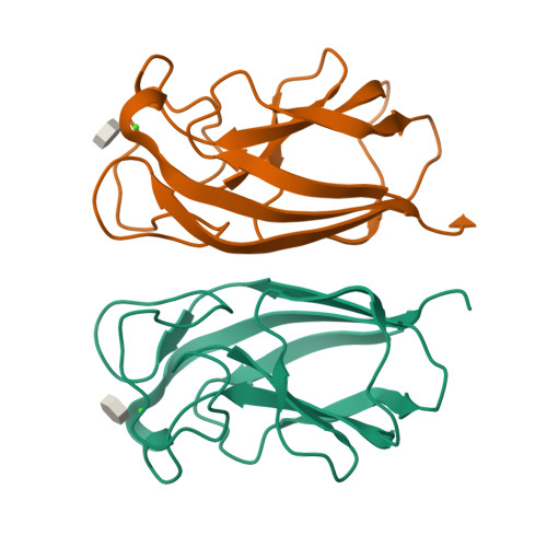 Rcsb Pdb 4a6s Structure Of The Pail Lectin From Pseudomonas Aeruginosa In Complex With 2 Naphtyl 1 Thio Beta D Galactopyranoside