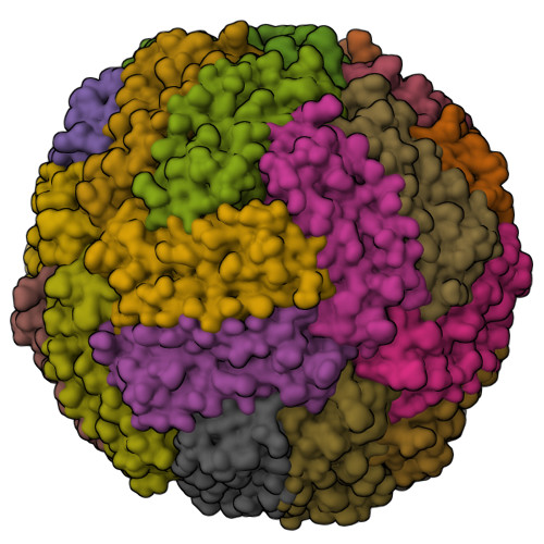 Rcsb Pdb 7a6a 1 15 A Structure Of Human Apoferritin Obtained From Titan Mono or Microscope