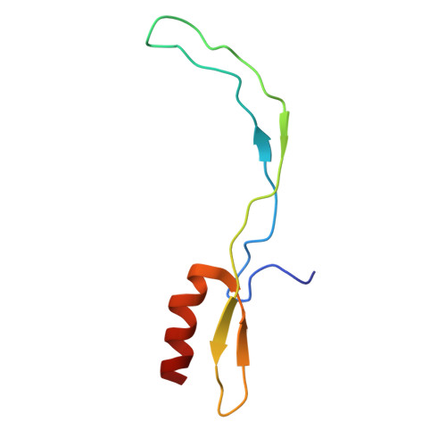 Rcsb Pdb 5a9z Complex Of Thermous Thermophilus Ribosome Bound To Bipa Gdpcp