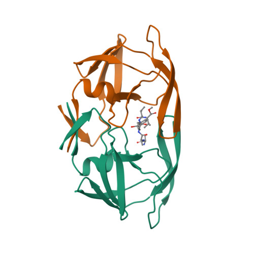 Rcsb Pdb 1aaq Hydroxyethylene Isostere Inhibitors Of Human Immunodeficiency Virus 1 Protease Structure Activity Analysis Using Enzyme Kinetics X Ray Crystallography And Infected T Cell Assays