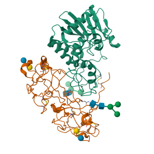 Rcsb Pdb 2aai Crystallographic Refinement Of Ricin To 2 5 Angstroms