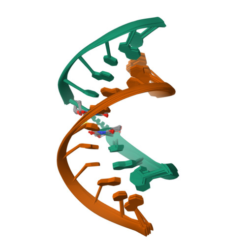 Rcsb Pdb 1ac3 Solution Structure Of An Rna Dna Hybrid Duplex Containing A 3 Thioformacetal Linker And An Rna A Tract Nmr 8 Structures