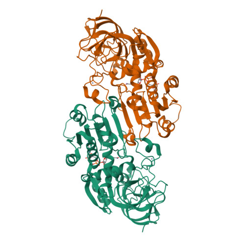 Alcohol Dehydrogenase protein structure