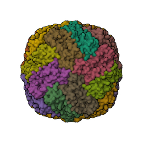 Rcsb Pdb 1aew L Chain Horse Apoferritin