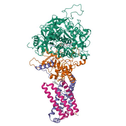 Rcsb Pdb 3aea Crystal Structure Of Porcine Heart Mitochondrial Complex Ii Bound With N 3 Dimethylaminomethyl Phenyl 2 Trifluoromethyl Benzamide