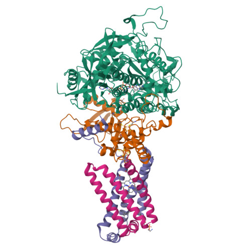 Rcsb Pdb 3aef Crystal Structure Of Porcine Heart Mitochondrial Complex Ii With An Empty Quinone Binding Pocket