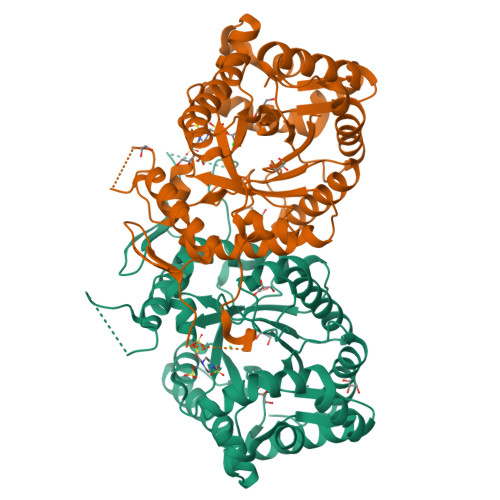 Rcsb Pdb 5aec Type Ii Baeyer Villiger Monooxygenase The Oxygenating Constituent Of 3 6 Diketocamphane Monooxygenase From Cam Plasmid Of Pseudomonas Putida In Complex With Fmn
