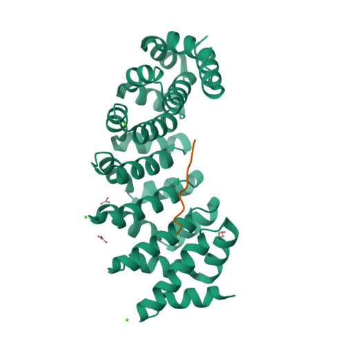Rcsb Pdb 5aei Designed Armadillo Repeat Protein Yiiim5aii In Complex With Peptide Kr 5