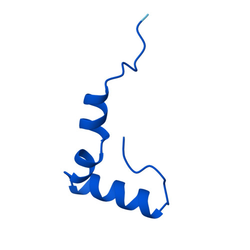 RCSB PDB - AF_AFA5UID2F1: Computed structure model of 50S ribosomal ...