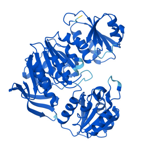 RCSB PDB - AF_AFA6LPI8F1: Computed structure model of UDP-N ...