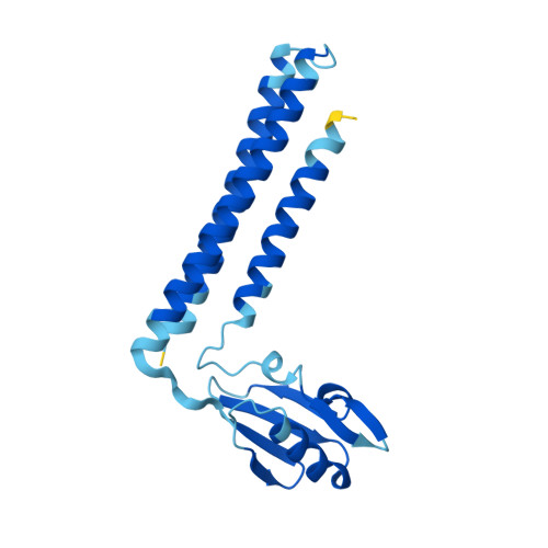 RCSB PDB - AF_AFA8GQY0F1: Computed structure model of Ribosome ...