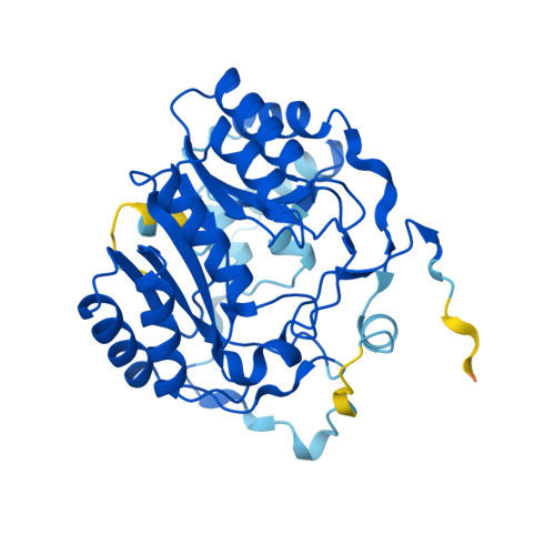 RCSB PDB - AF_AFB4TAI5F1: Computed Structure Model Of Lipoyl Synthase