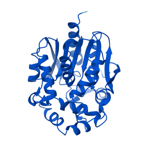 RCSB PDB - AF_AFD4Z2G1F1: Computed structure model of Haloalkane ...