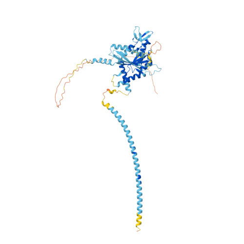 RCSB PDB - AF_AFO36023F1: Computed structure model of Septin homolog spn1