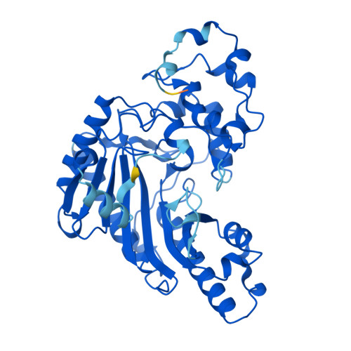 RCSB PDB AF_AFP00563F1 Computed structure model of Creatine kinase M