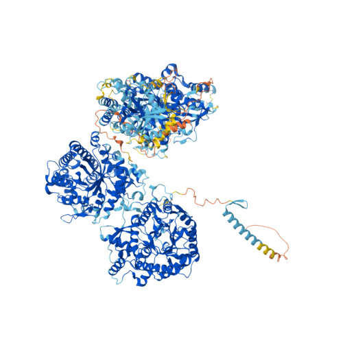 lactase structure