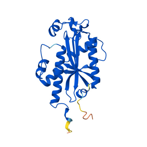 RCSB PDB - AF_AFP30014F1: Computed structure model of Ribonuclease T