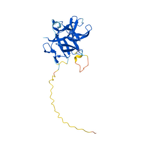 RCSB PDB - AF_AFP30941F1: Computed structure model of Serine protease ...