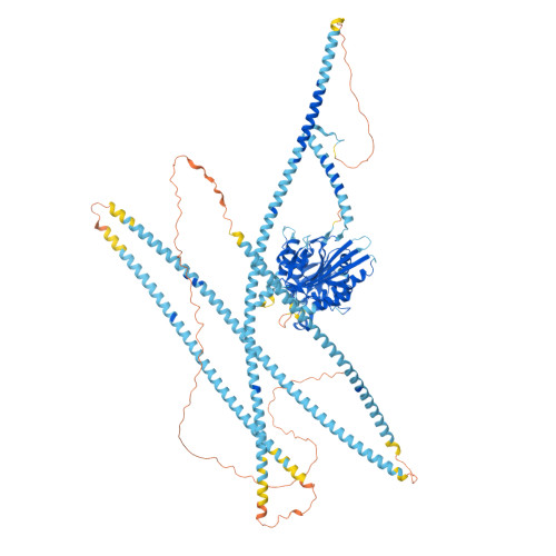 RCSB PDB - AF_AFP33175F1: Computed structure model of Kinesin heavy ...
