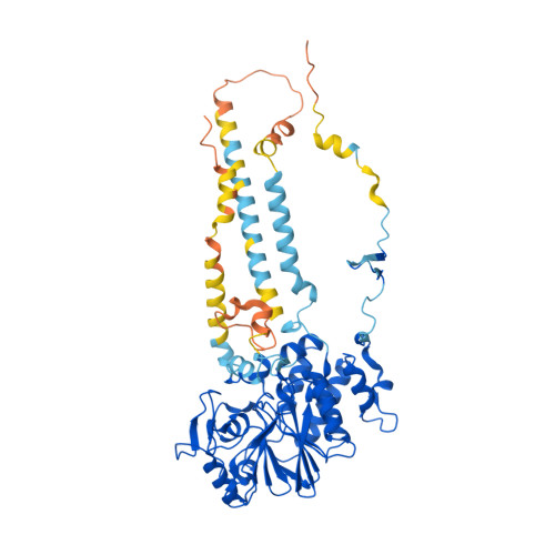 RCSB PDB - AF_AFQ12705F1: Computed structure model of Serine/threonine ...